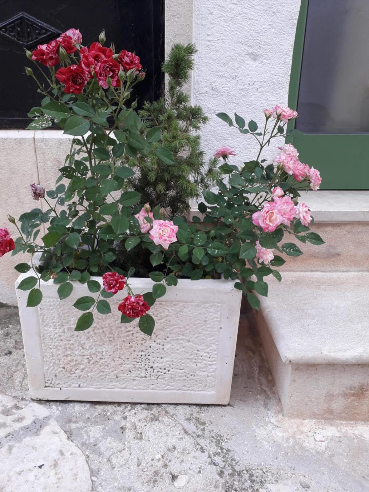 Le Chianche Villa Ceglie Messapica Exterior photo